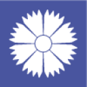 Aviakompaniya Belavia